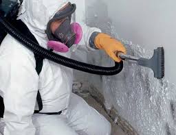 Best Mold Remediation for Healthcare Facilities  in Lwa, CA